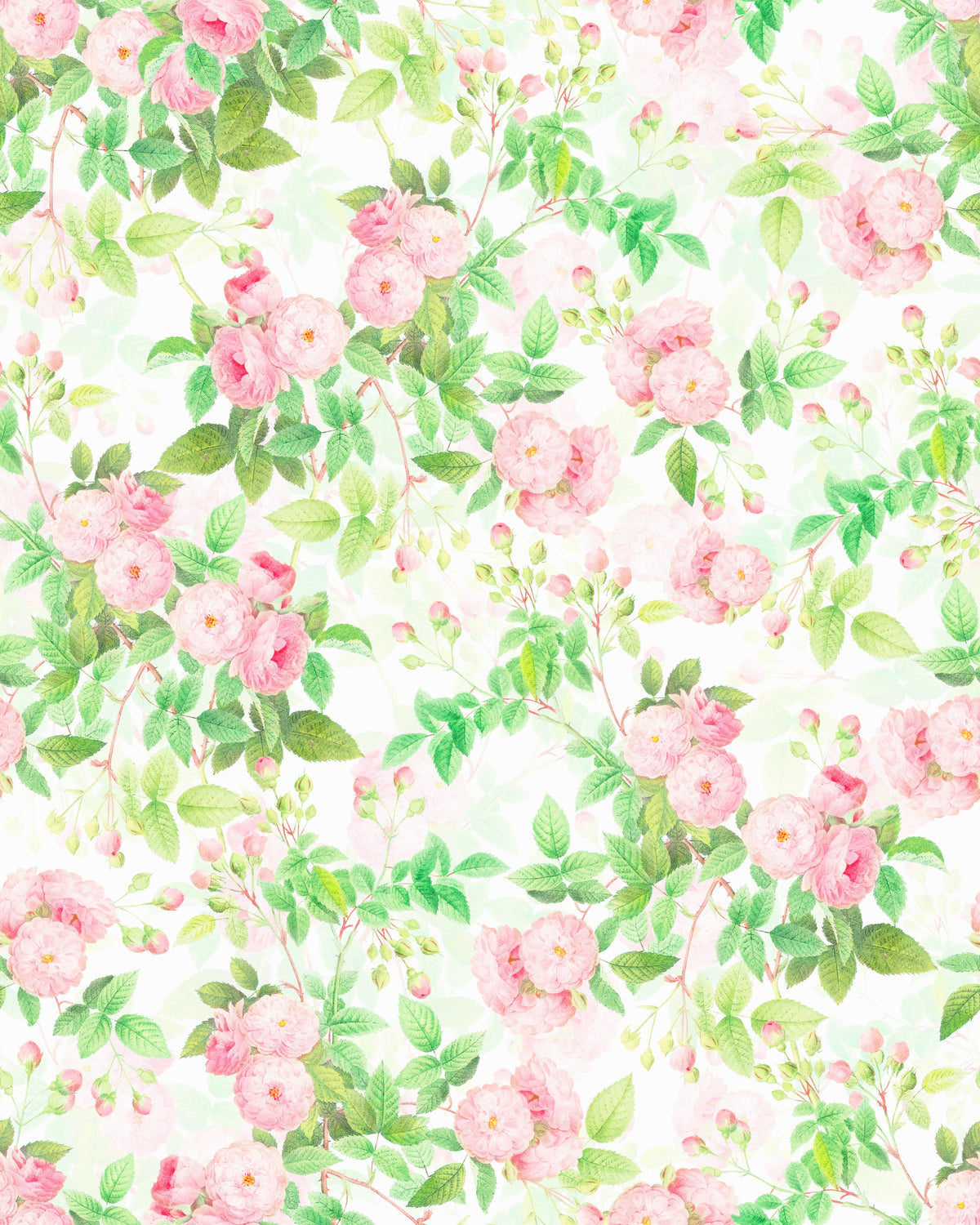 Pink Rose Watercolor Dream Wallpaper⁠ in your room — zoomed
