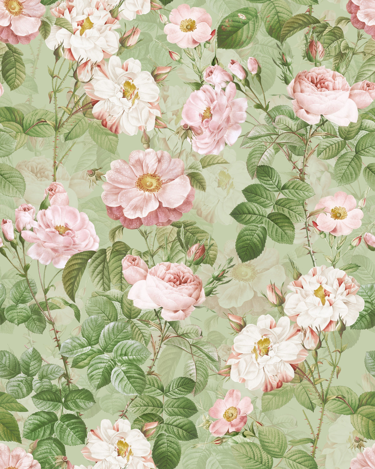 Vintage Rose Romance Wallpaper⁠