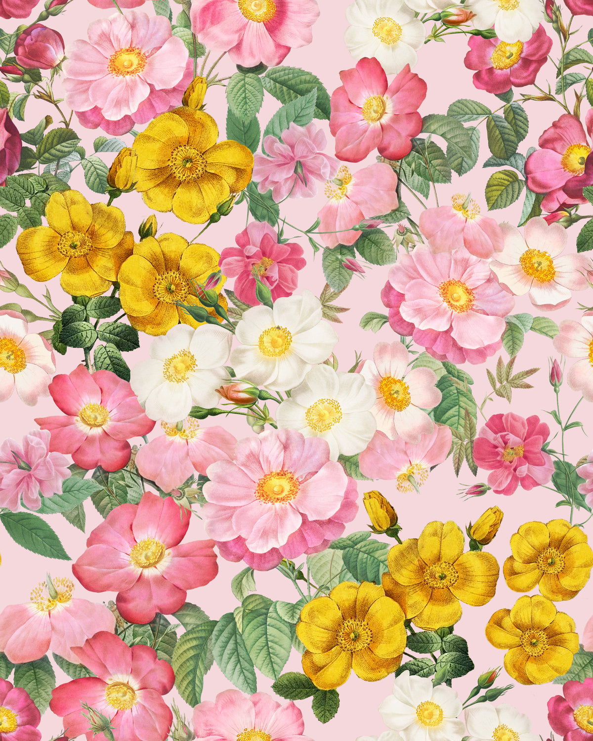 Romantic Rose Garden 1 Wallpaper⁠