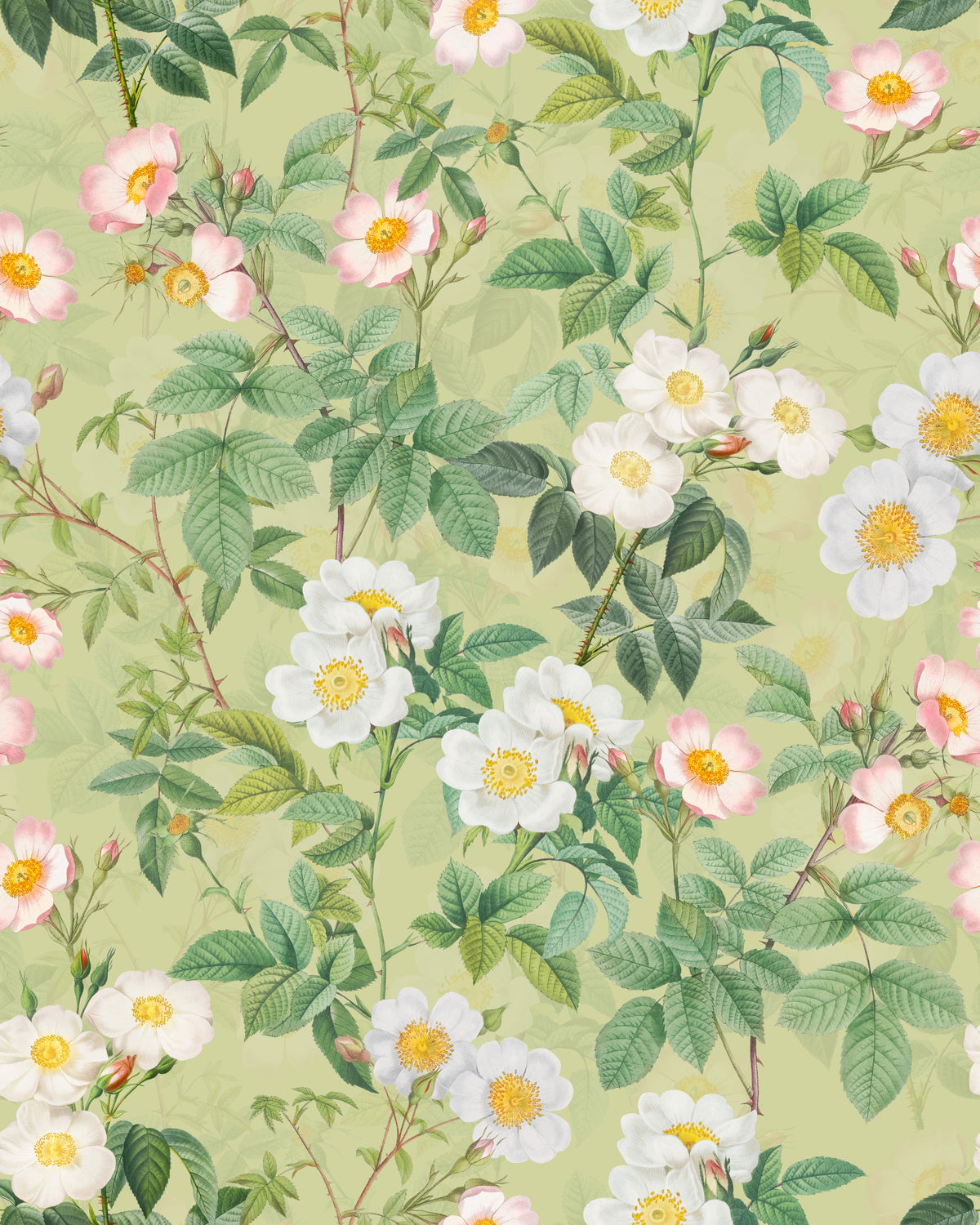 Vintage Rose Garden 3 Wallpaper⁠ in your room — zoomed