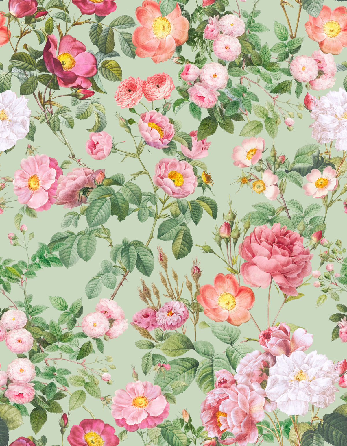 Pastel Paradise Roses Wallpaper⁠ in your room