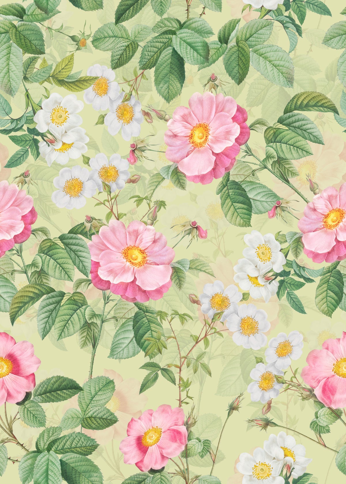 Rose Garden Reverie 1 Wallpaper⁠ in your room — zoomed