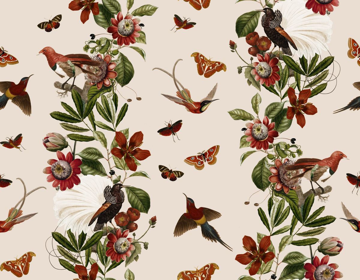 Tropical Rhapsody Wallpaper⁠ in your room — zoomed