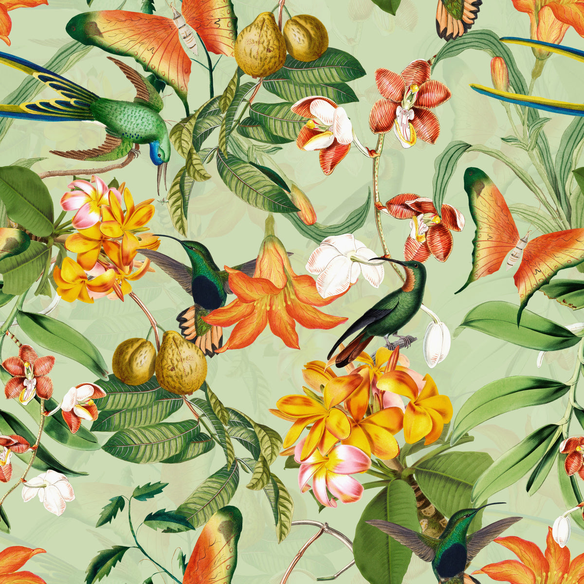 Botanical Bird Rhapsody Wallpaper⁠ in your room
