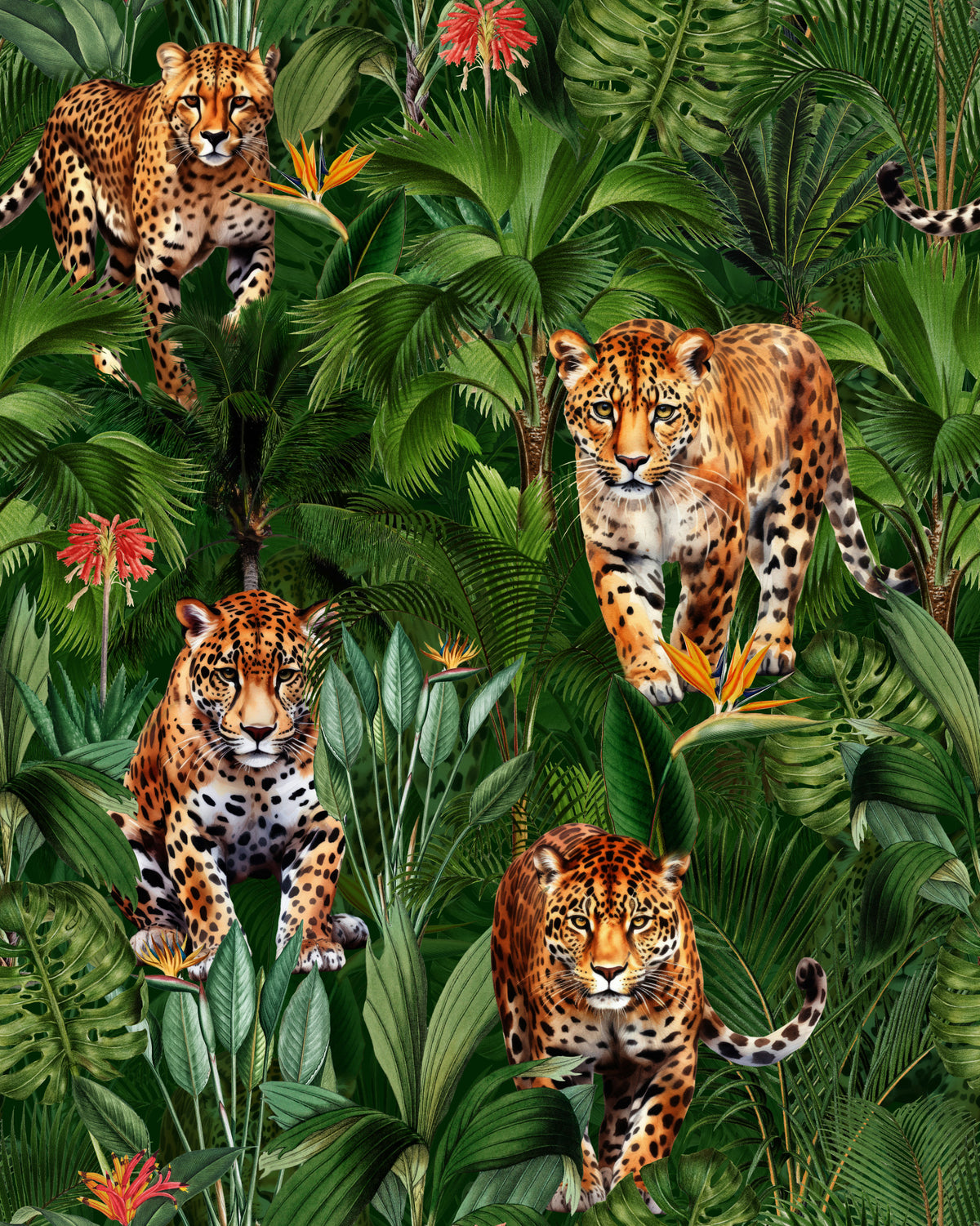 Big Cats of the Jungle Wallpaper⁠ in your room