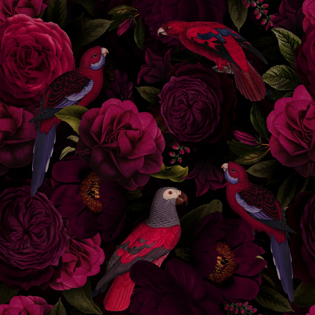 Midnight Bloom 1 Wallpaper⁠ in your room — zoomed
