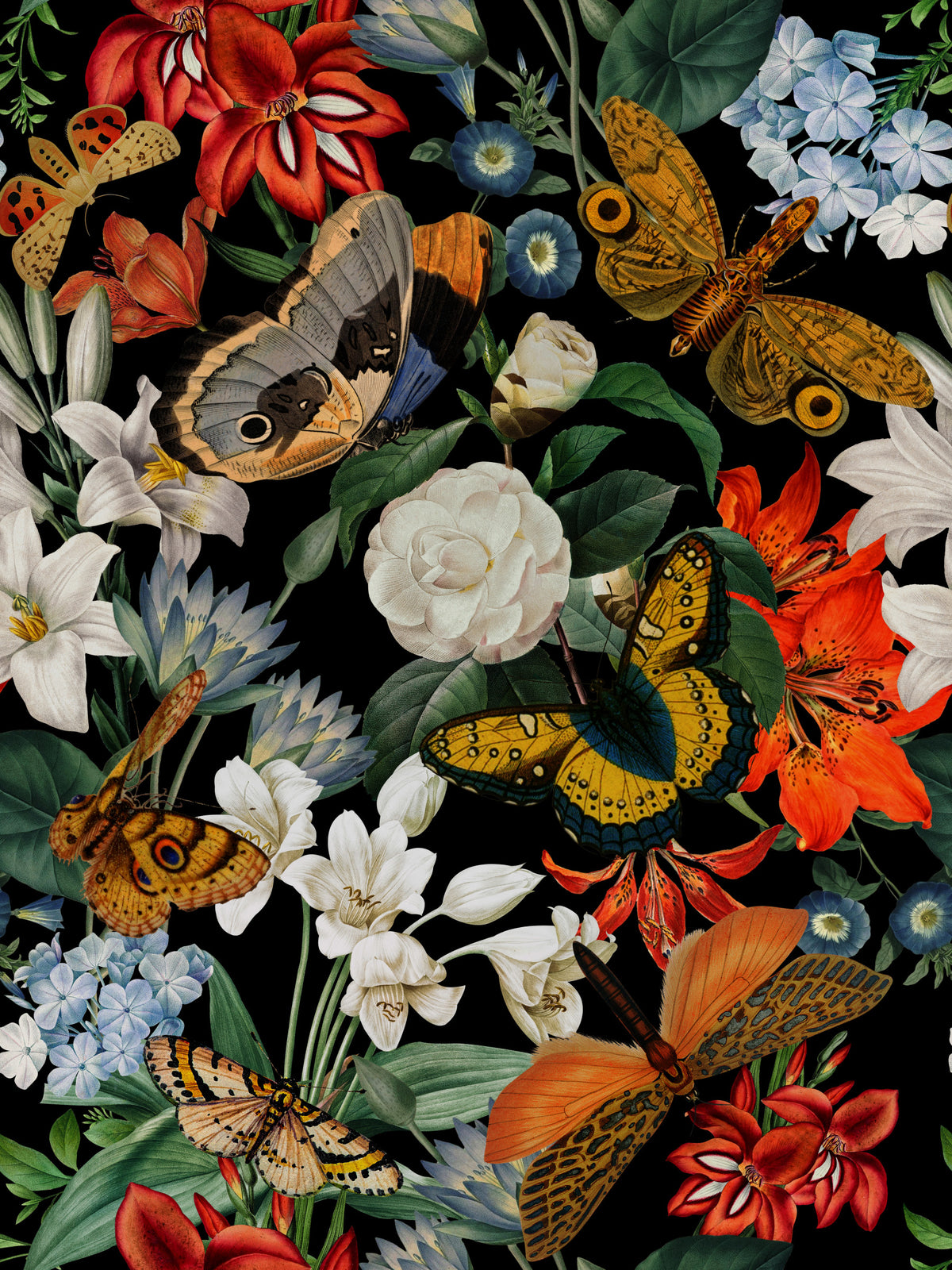 Whispers of the Night Wallpaper⁠ in your room — zoomed