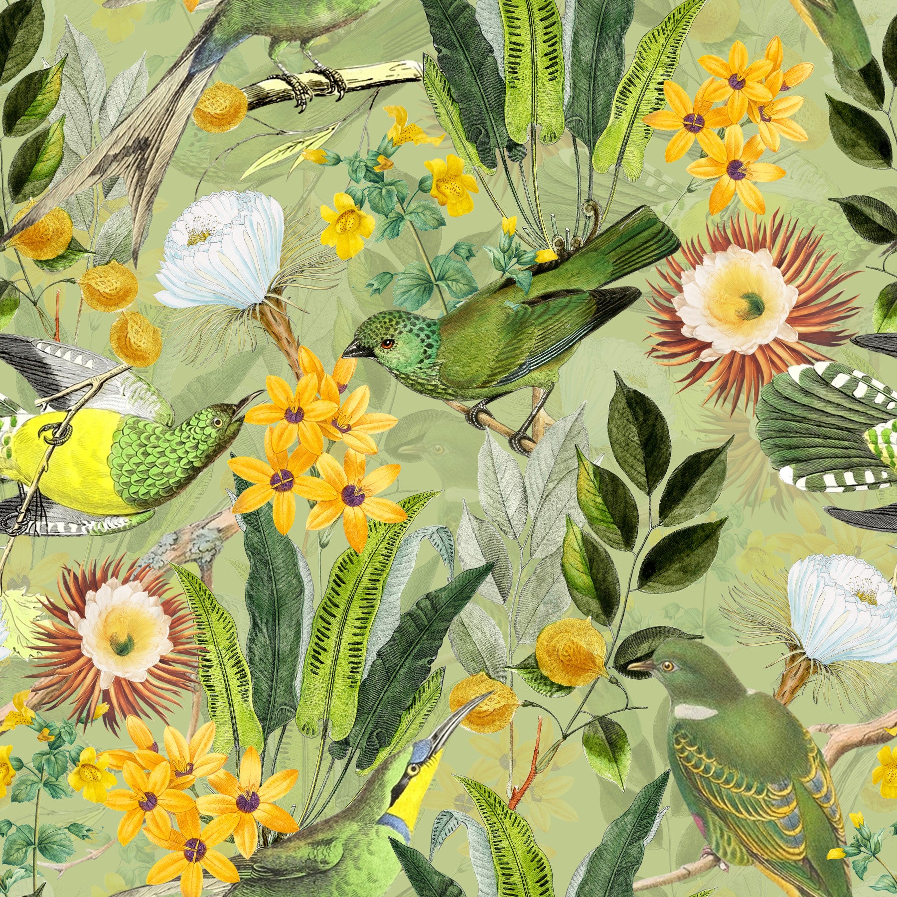 Serene Tropical Aviary Wallpaper⁠