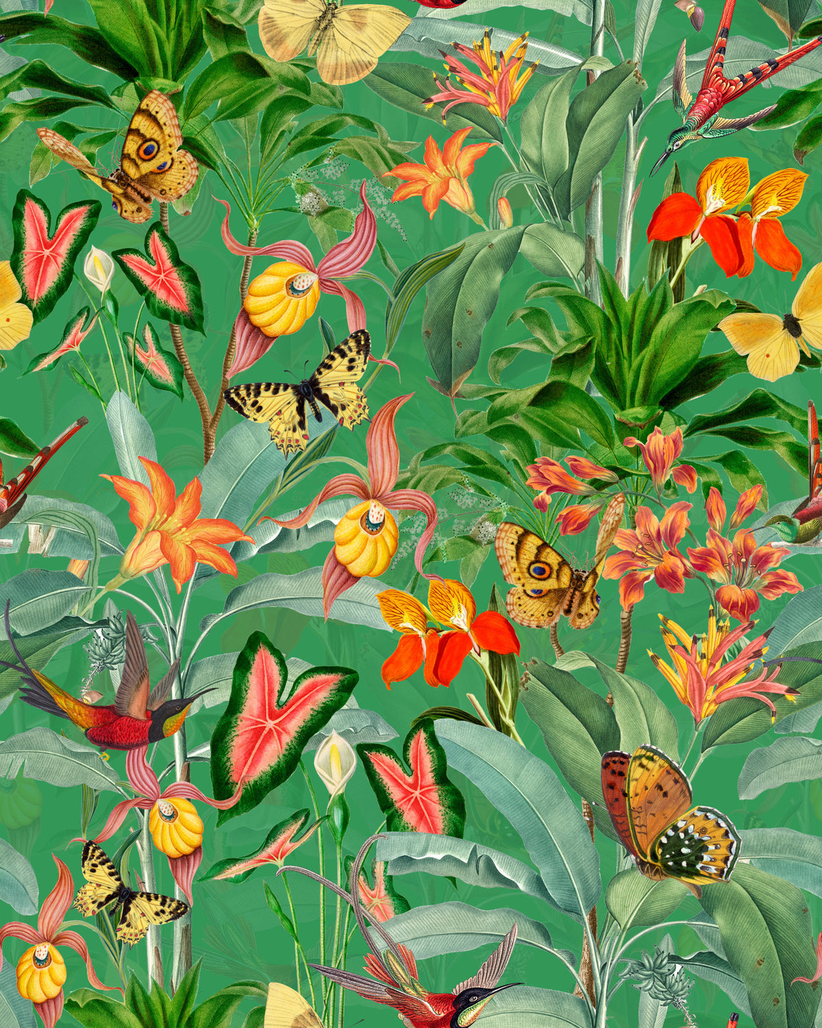 Emerald Enchantment Tropical Botanical Wallpaper Wallpaper⁠ in your room