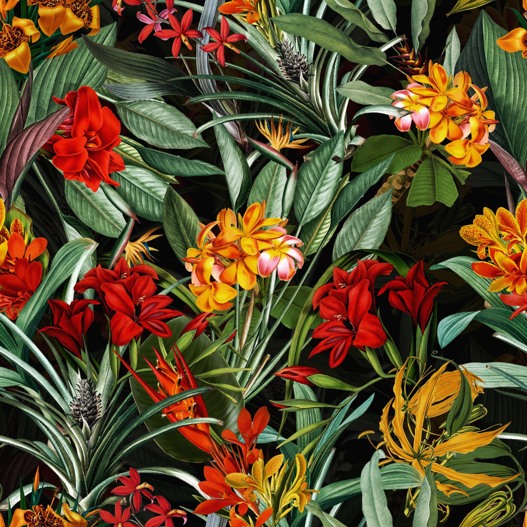 Nocturnal Bloom Wallpaper⁠
