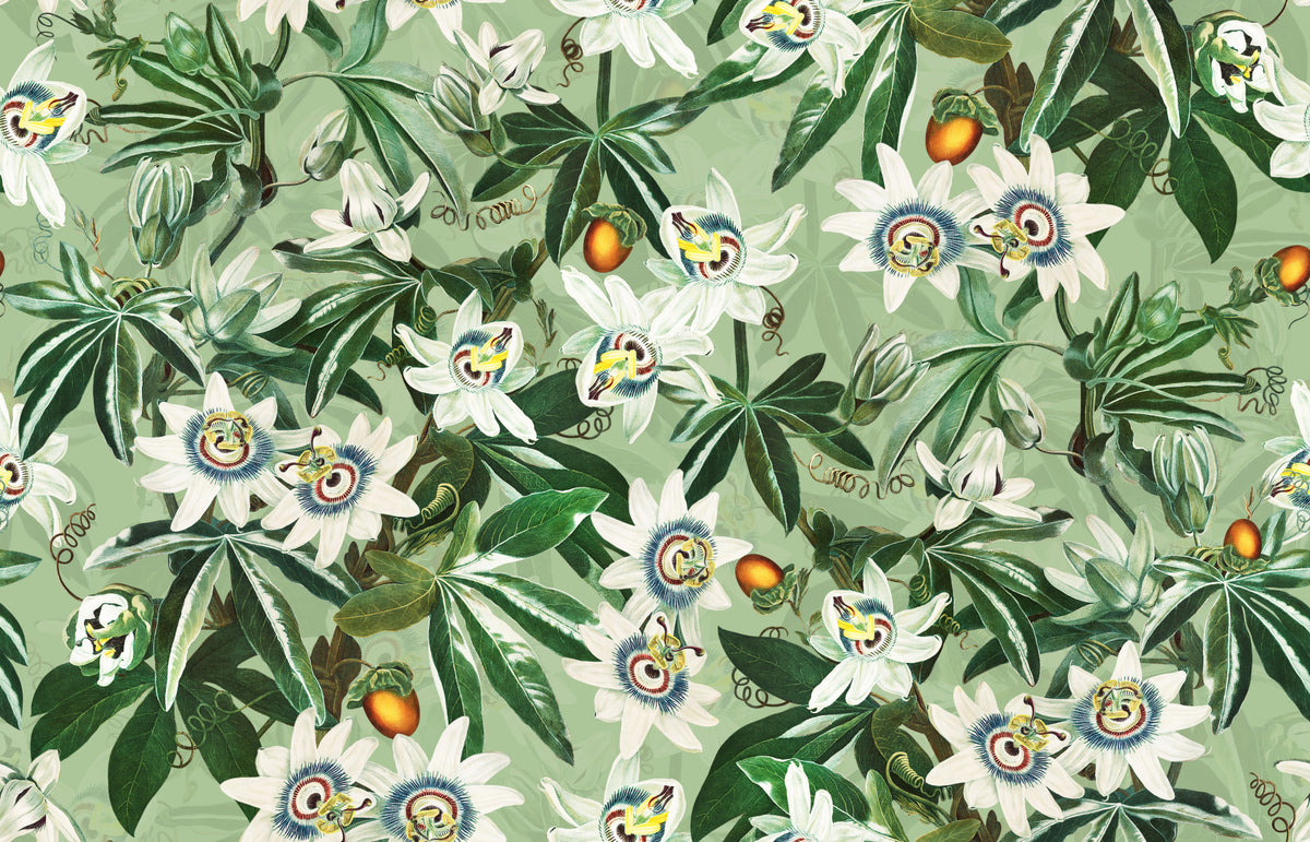 Passionflower Paradise Wallpaper⁠ in your room — zoomed