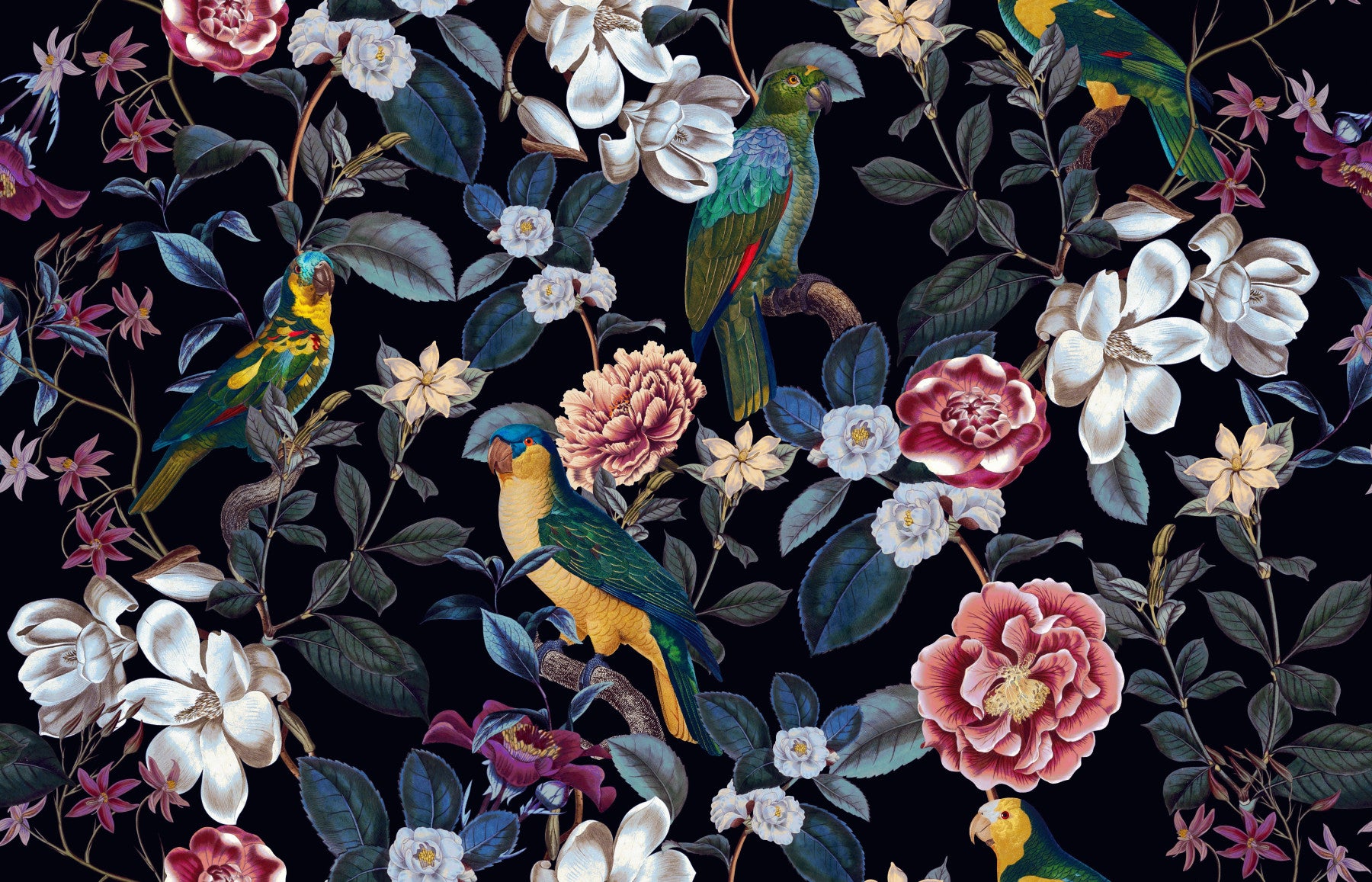 Nocturnal Paradise Wallpaper⁠ in your room — zoomed