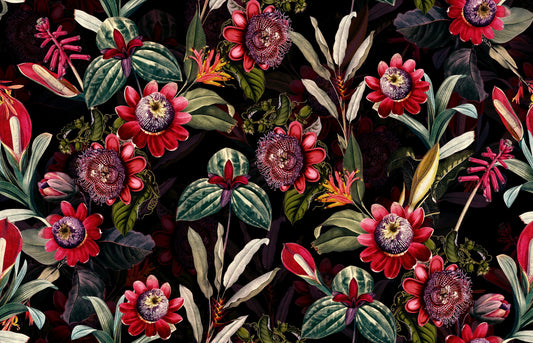 Midnight Bloom 2 Wallpaper⁠