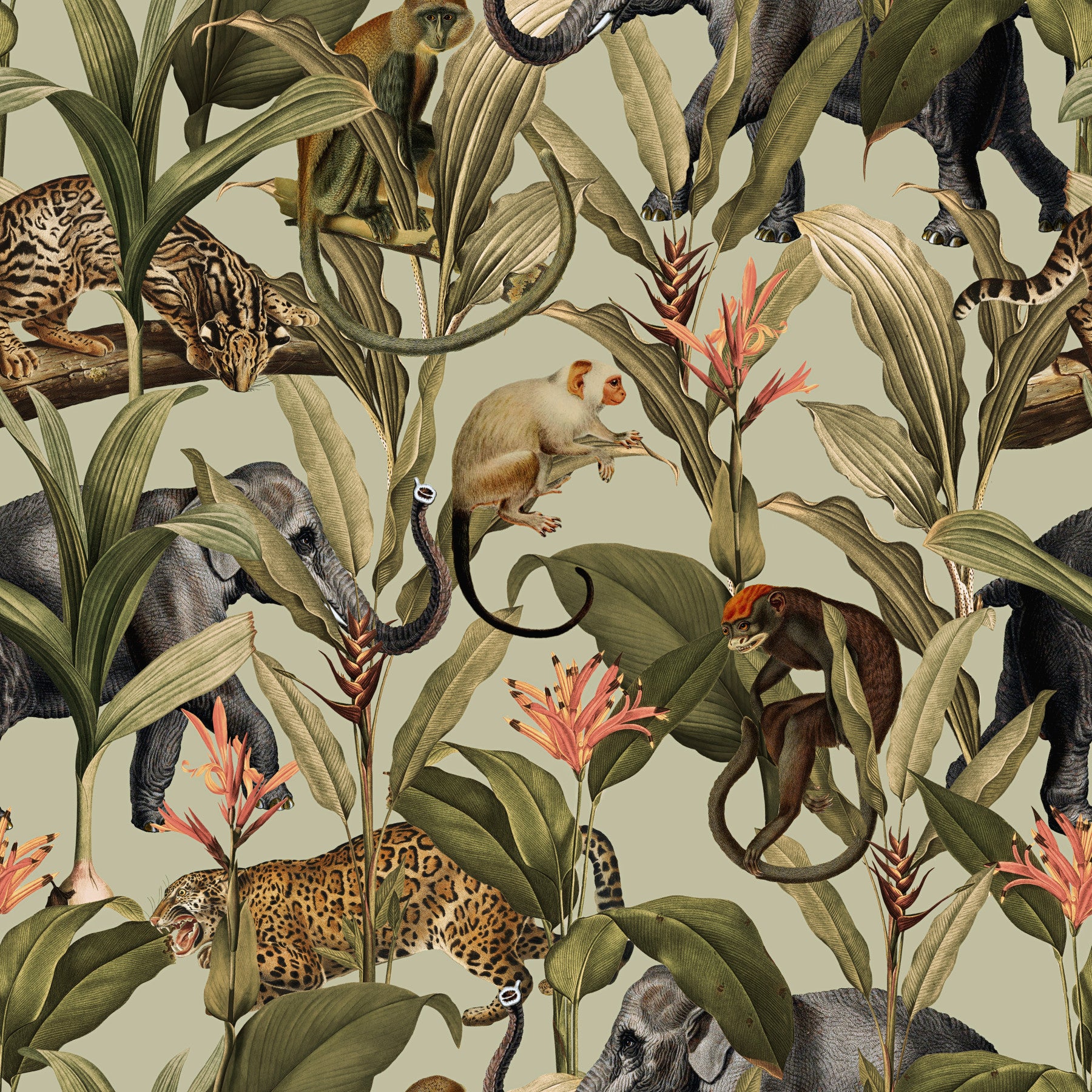 Jungle Majesty 1 Wallpaper⁠