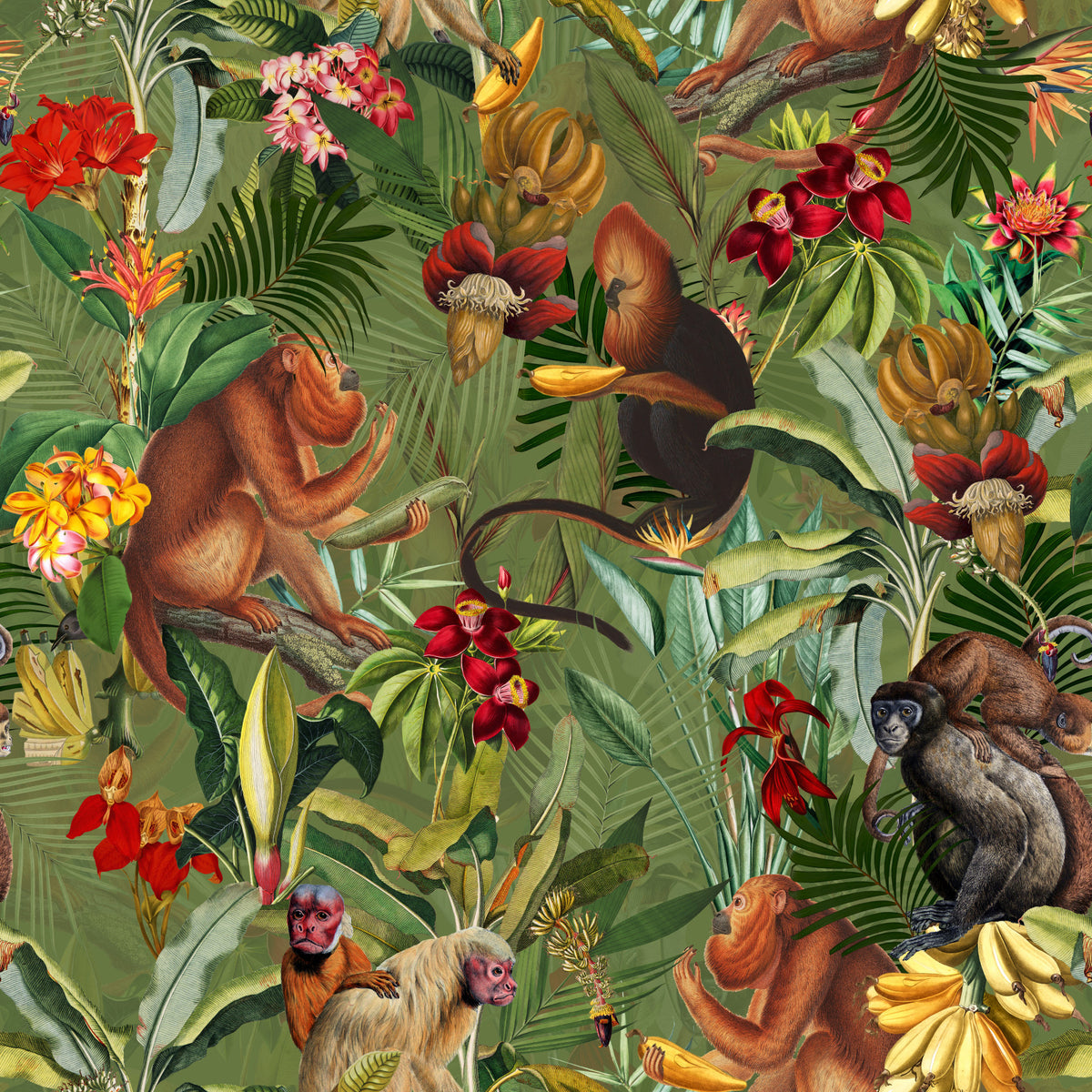 Jungle Rendezvous Wallpaper⁠ in your room — zoomed