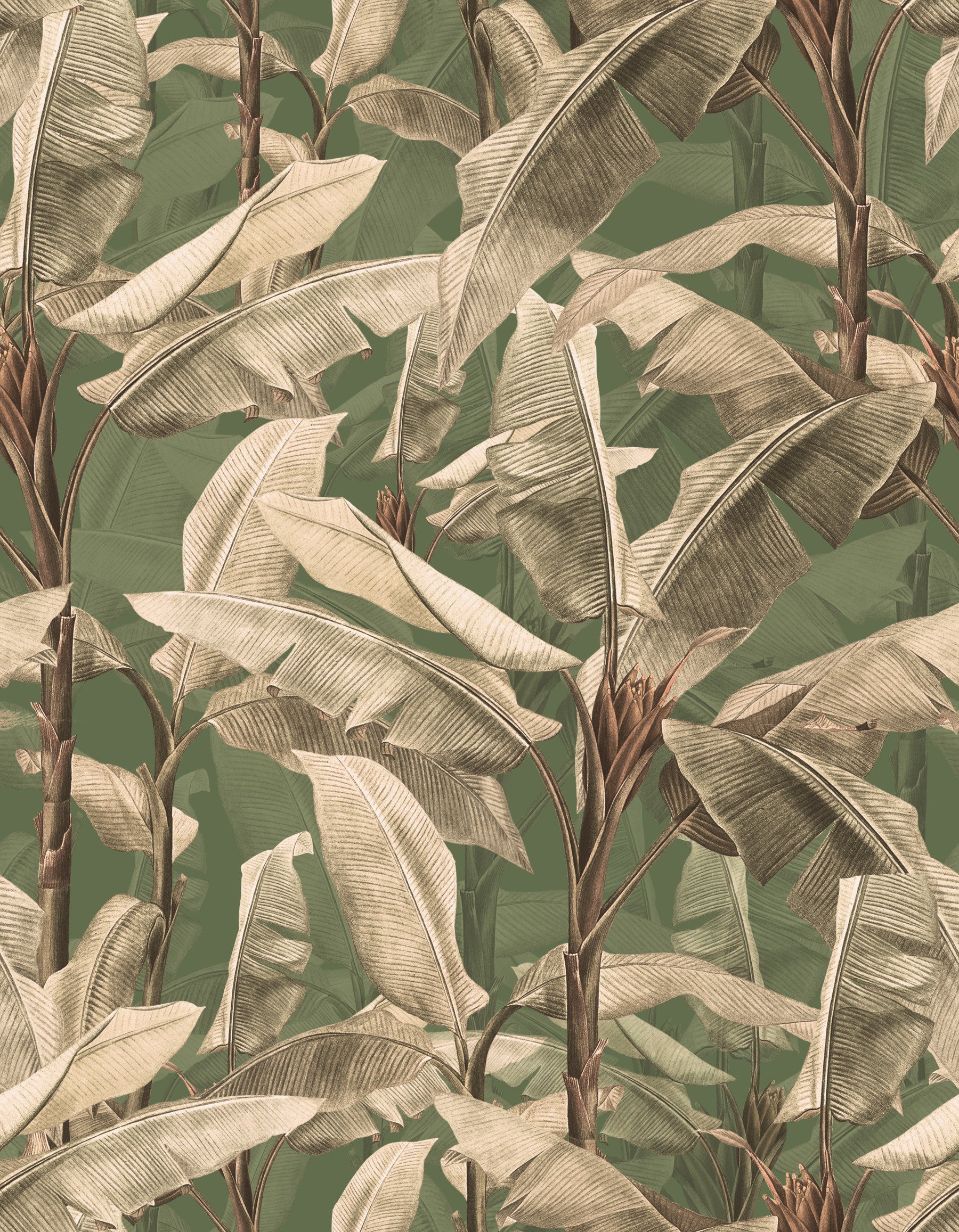 Botanical Eden Wallpaper⁠
