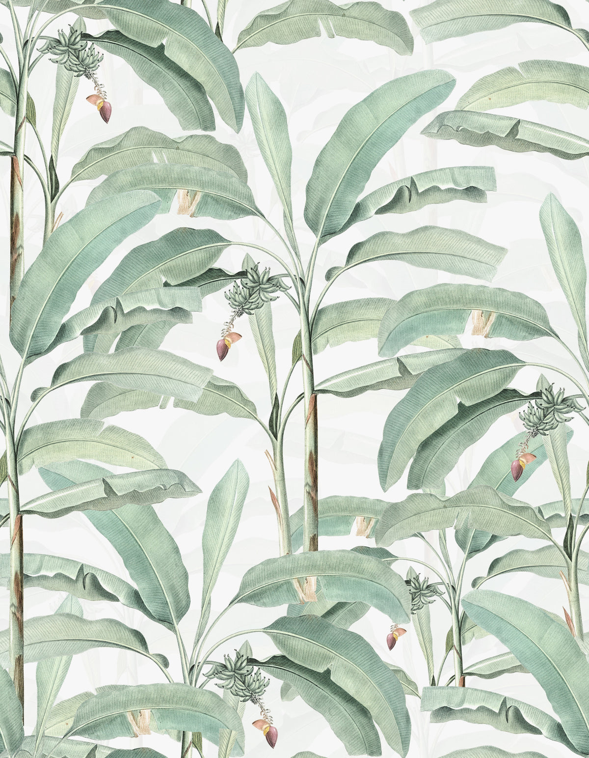 Tropical Botanical Dream Wallpaper⁠ in your room