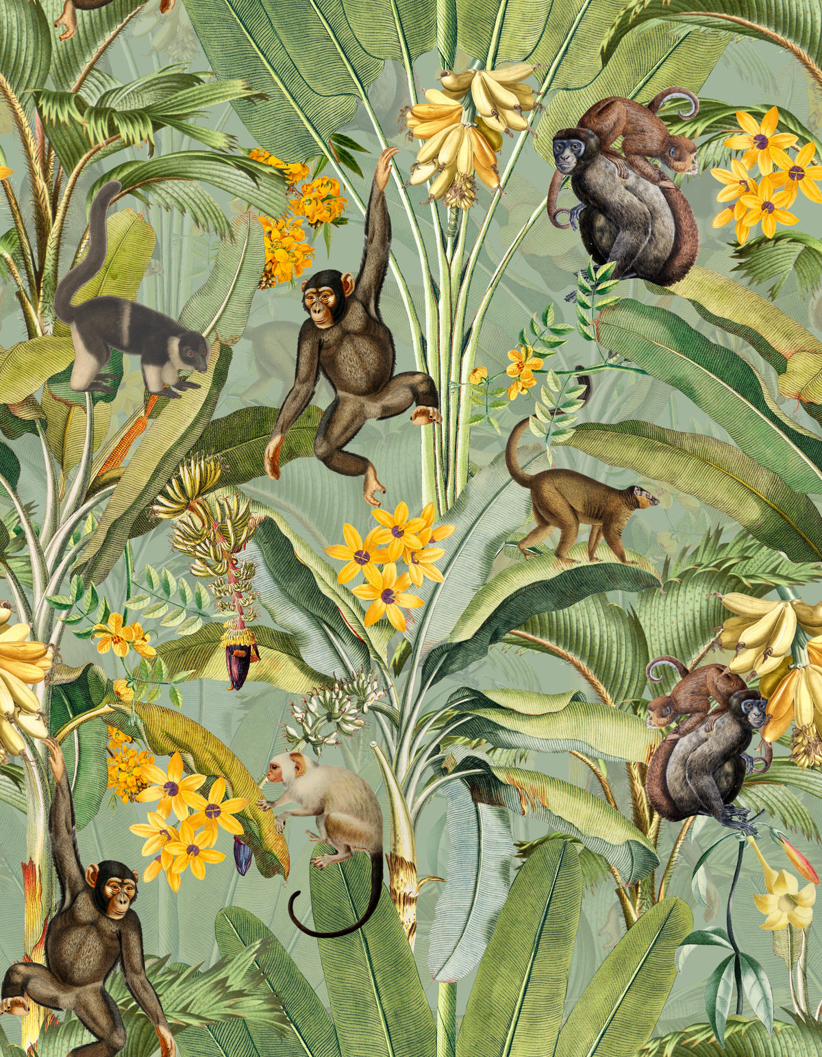 Tropical Monkey Business Wallpaper⁠ in your room