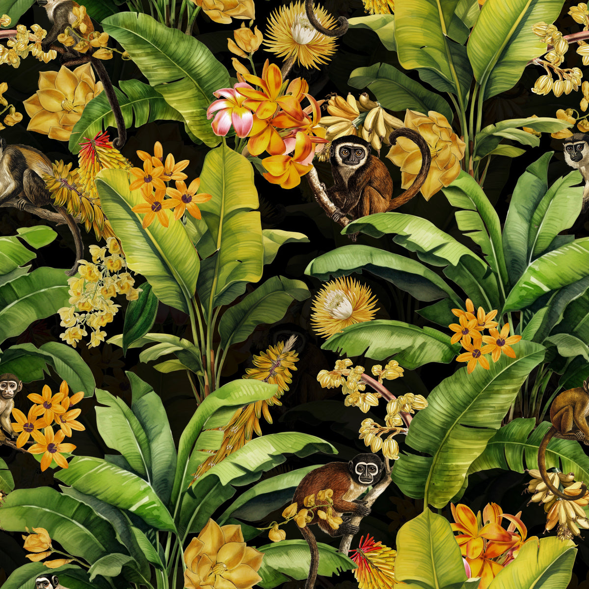 Tropical Monkey Rhapsody Wallpaper⁠