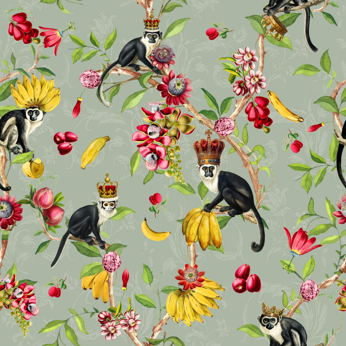 Exotic Monarchs Wallpaper⁠ in your room