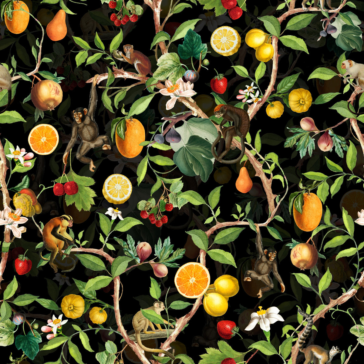 Primate Paradise Wallpaper⁠