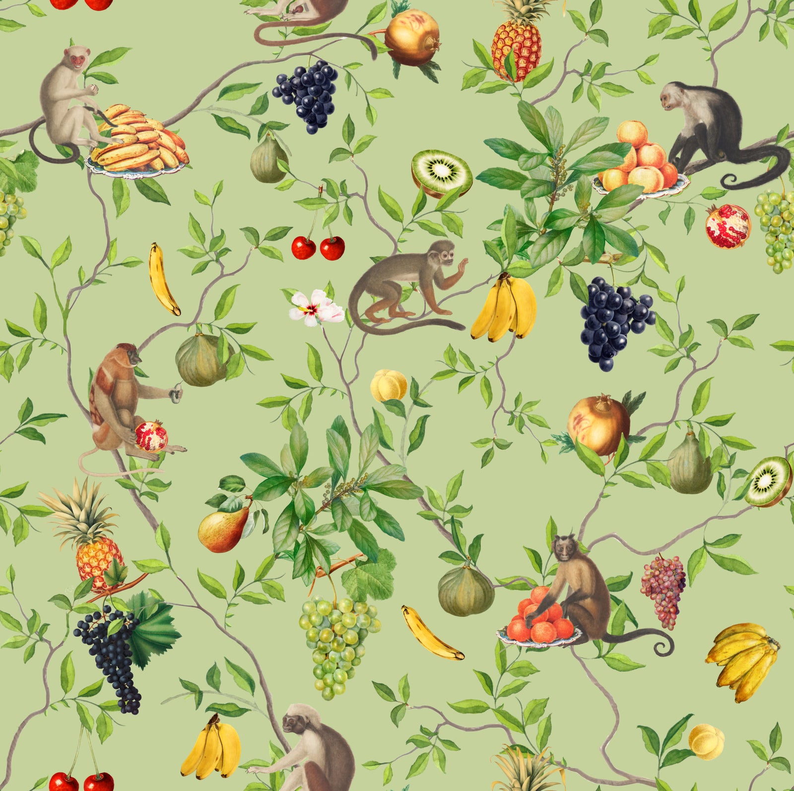 Monkeys & Tropical Fruits Delight Wallpaper⁠ in your room