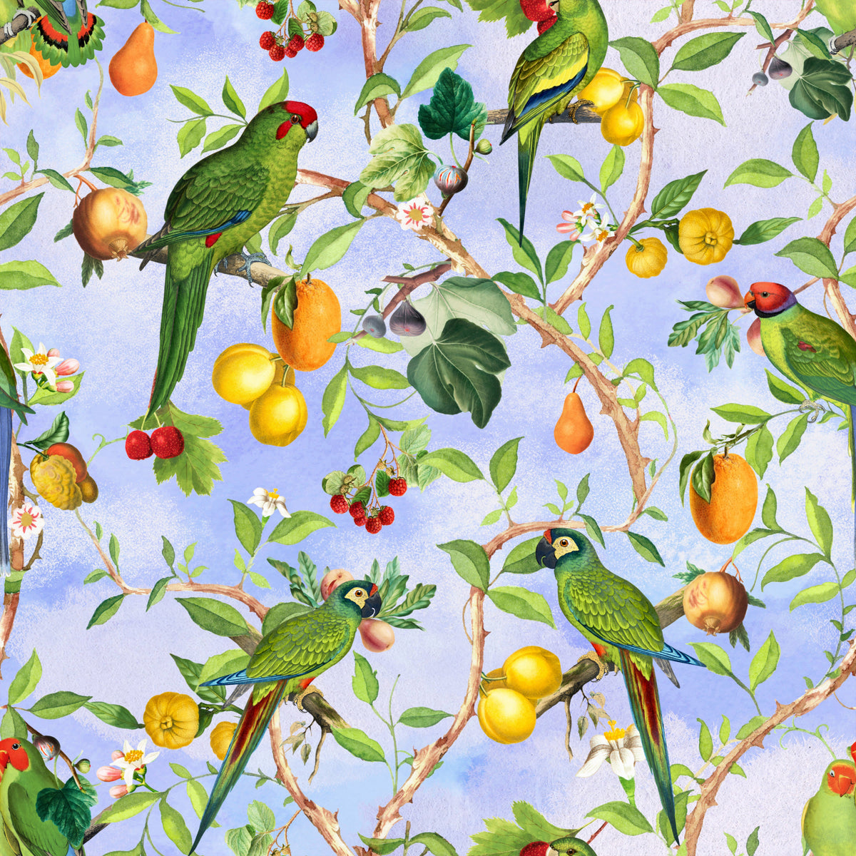 Tropical Paradise Birds 1 Wallpaper⁠ in your room