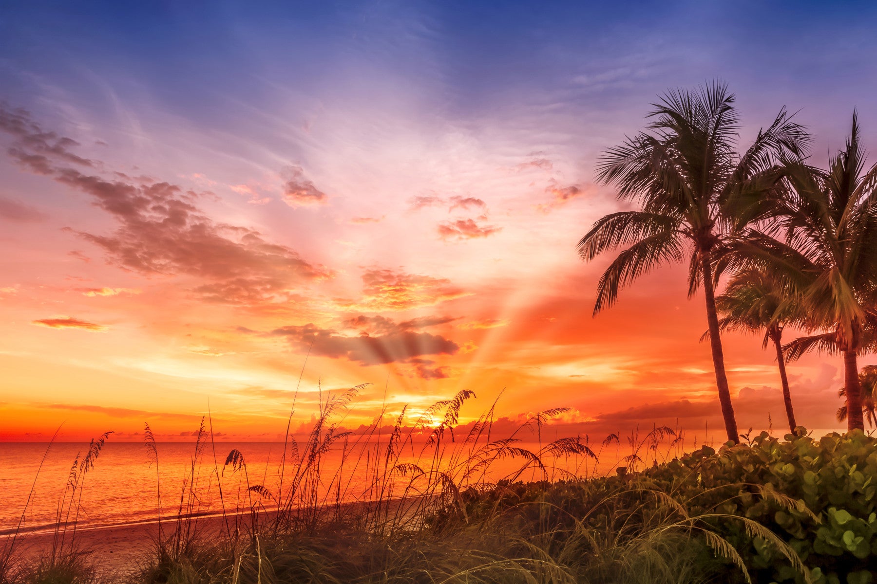 BONITA BEACH Picturesque Sunset Wall Mural