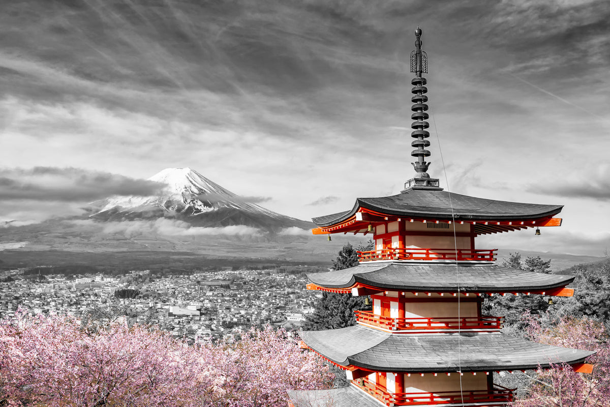 Magnificent view of Mount Fuji with Chureito Pagoda during cherry blossom season | colorkey Wall Mural in your room — zoomed