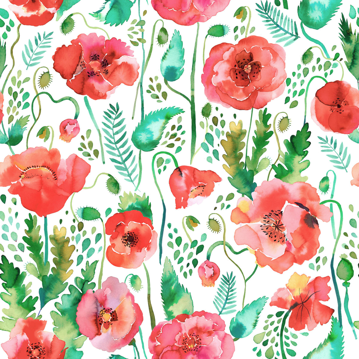 Spring Poppies Nature Watercolor Plants Wallpaper⁠