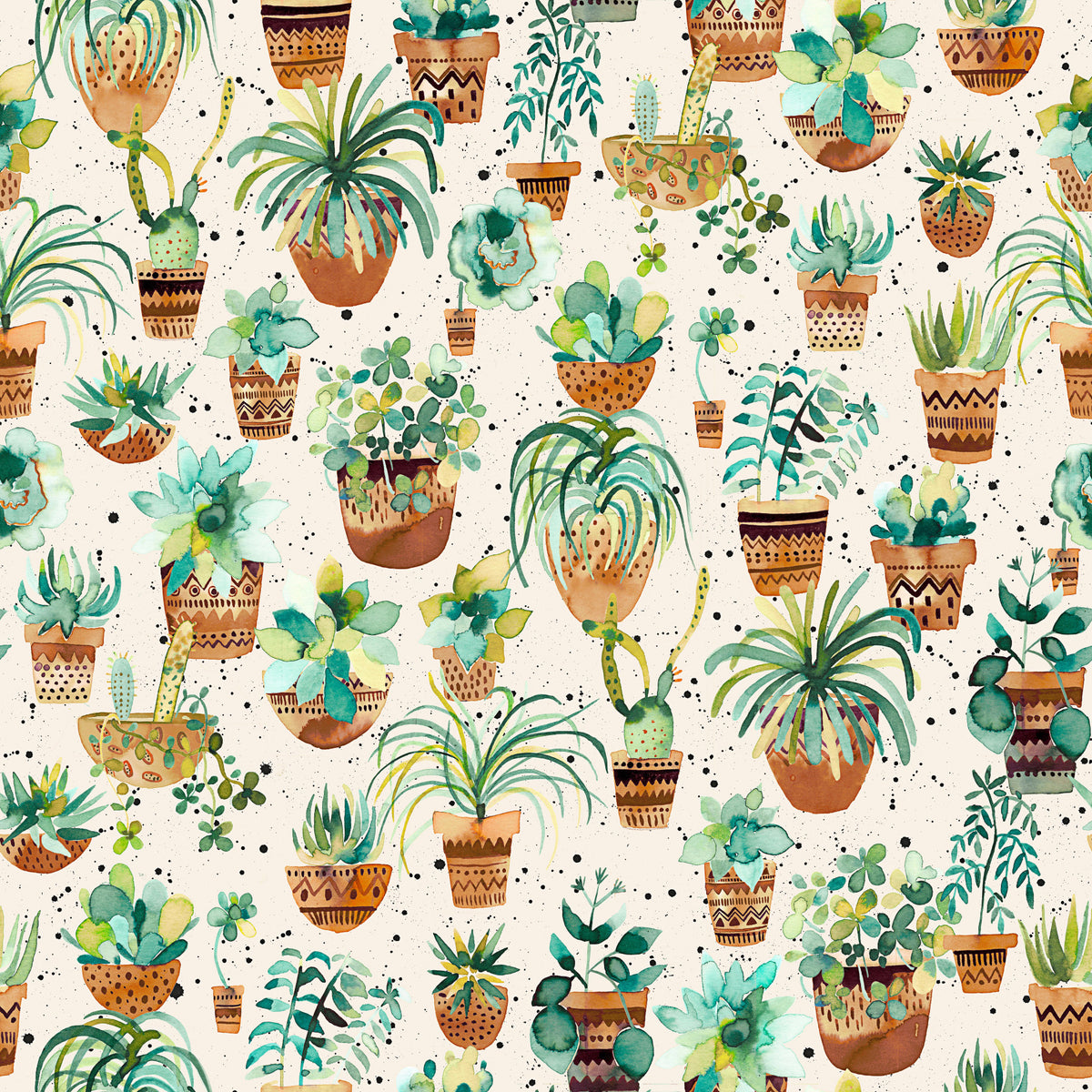 Succulent Home Pots Plants Wallpaper⁠