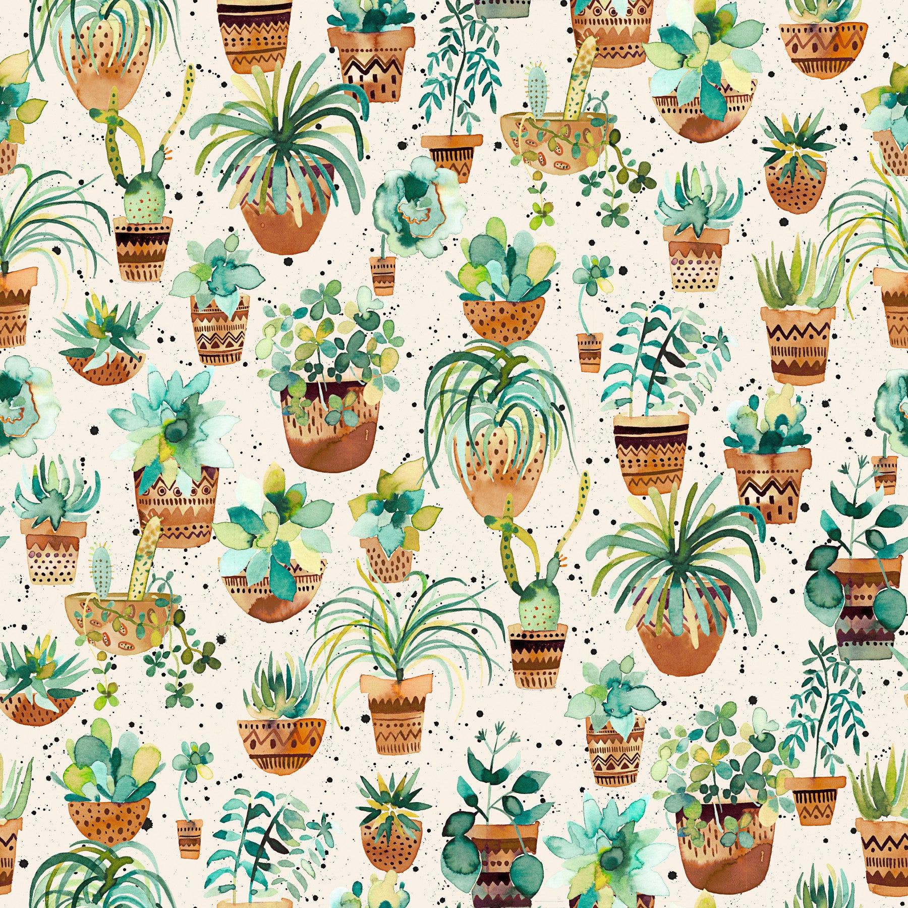 Succulent Home Pots Plants Wallpaper⁠ in your room — zoomed