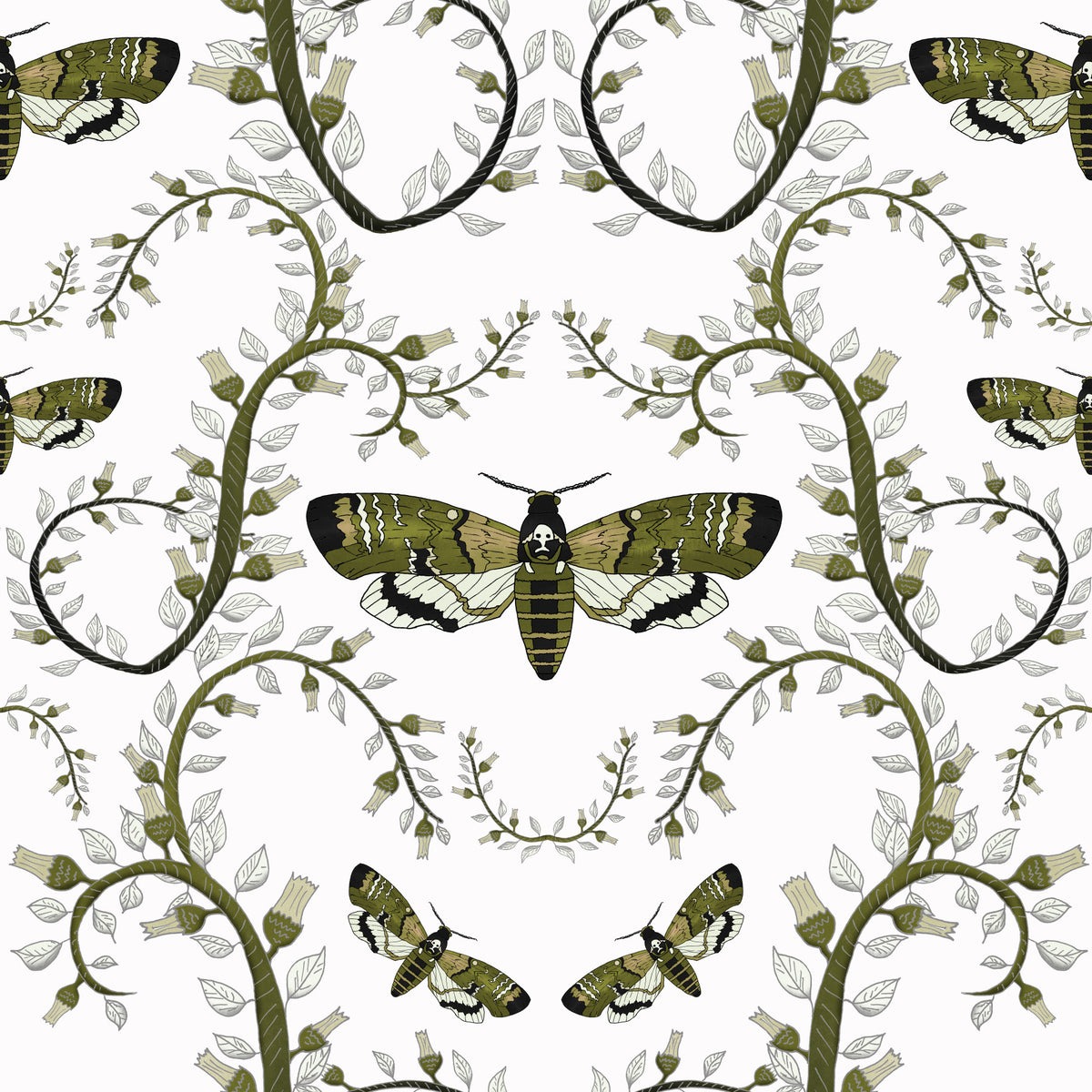 Death's-Head Hawkmoth Garden Wallpaper⁠ in your room