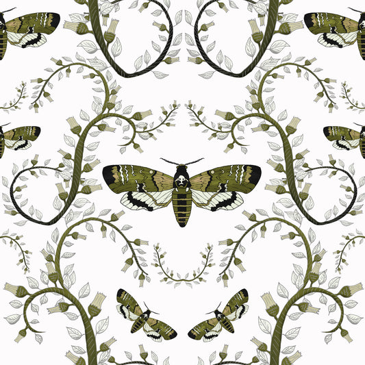 Death's-Head Hawkmoth Garden Wallpaper⁠