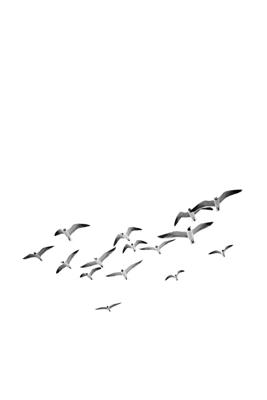 Flying Birds Vertical Wall Mural