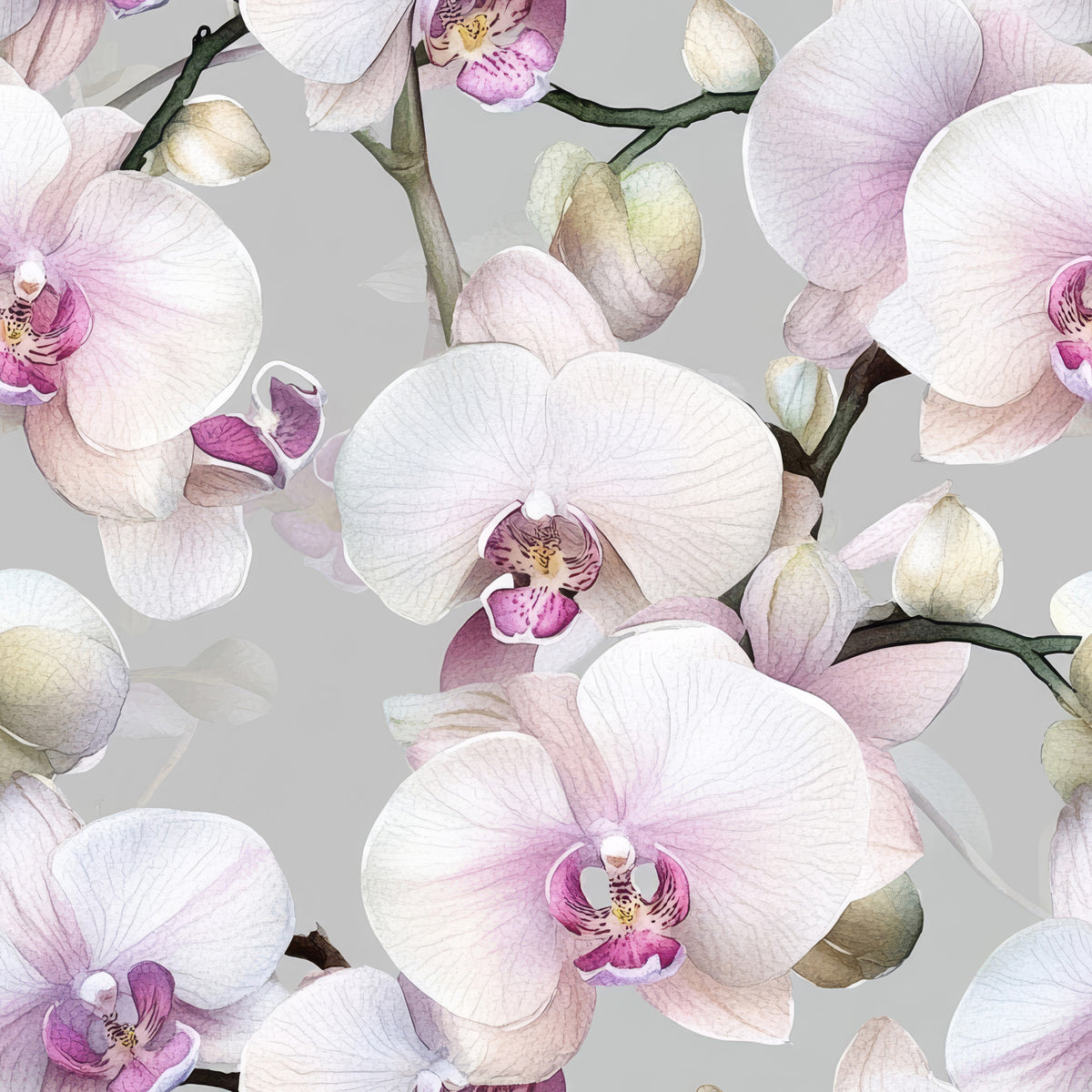 Elegance of the orchid Wallpaper⁠ in your room