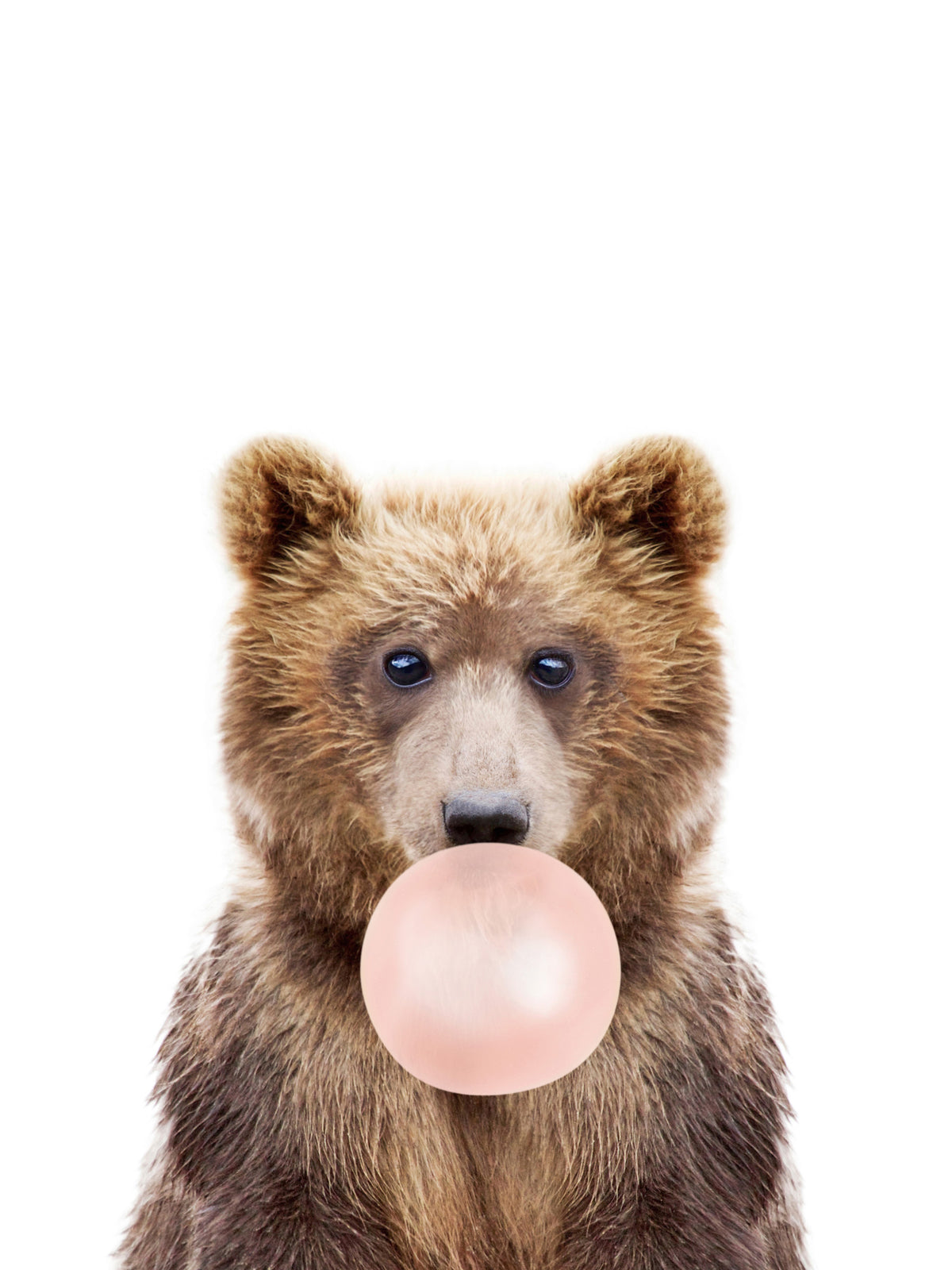 Bubble Gum Bear Wall Mural in your room