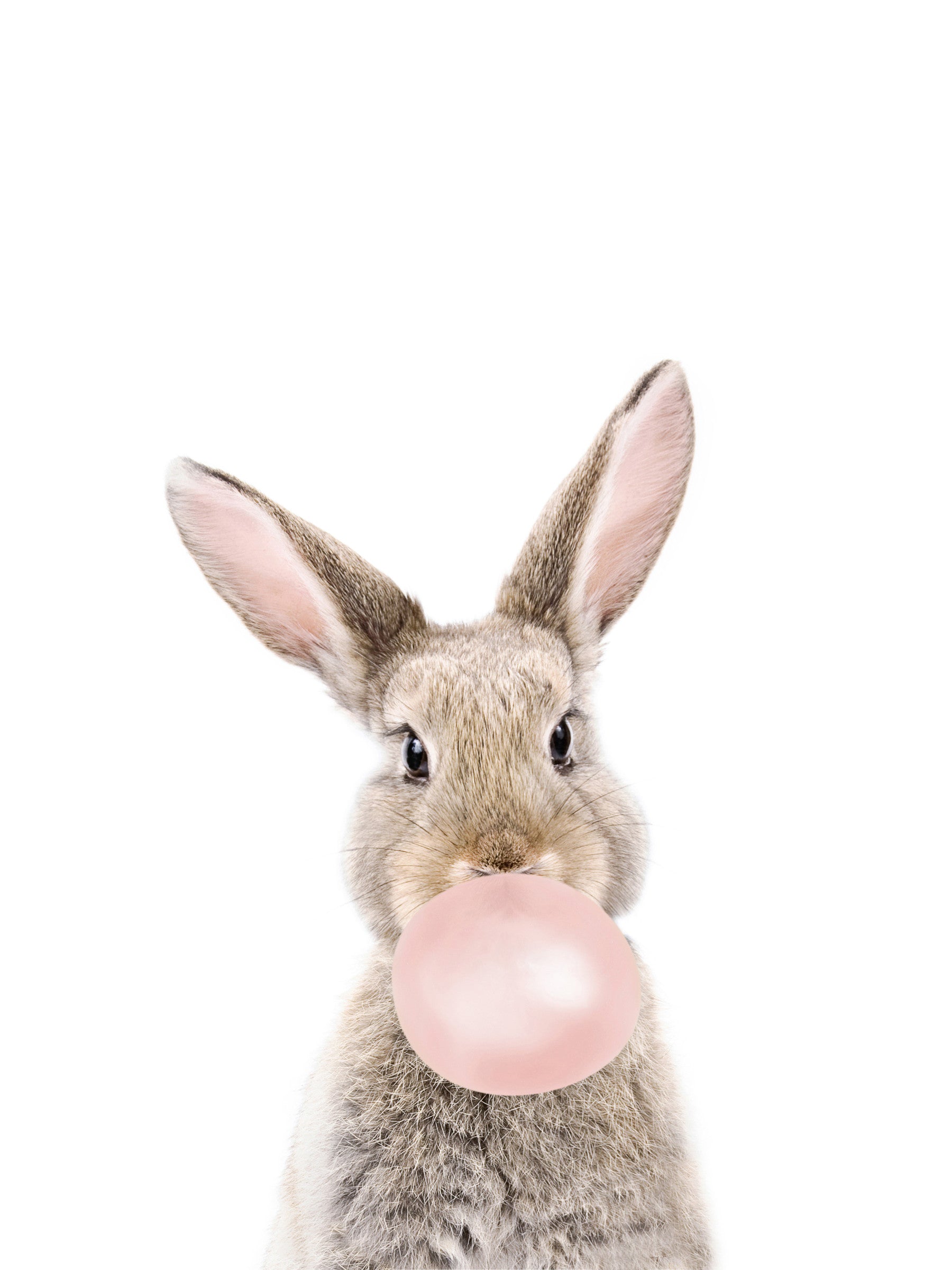 Soft and cheerful Bubble Gum Bunny wall mural for kids' rooms.

