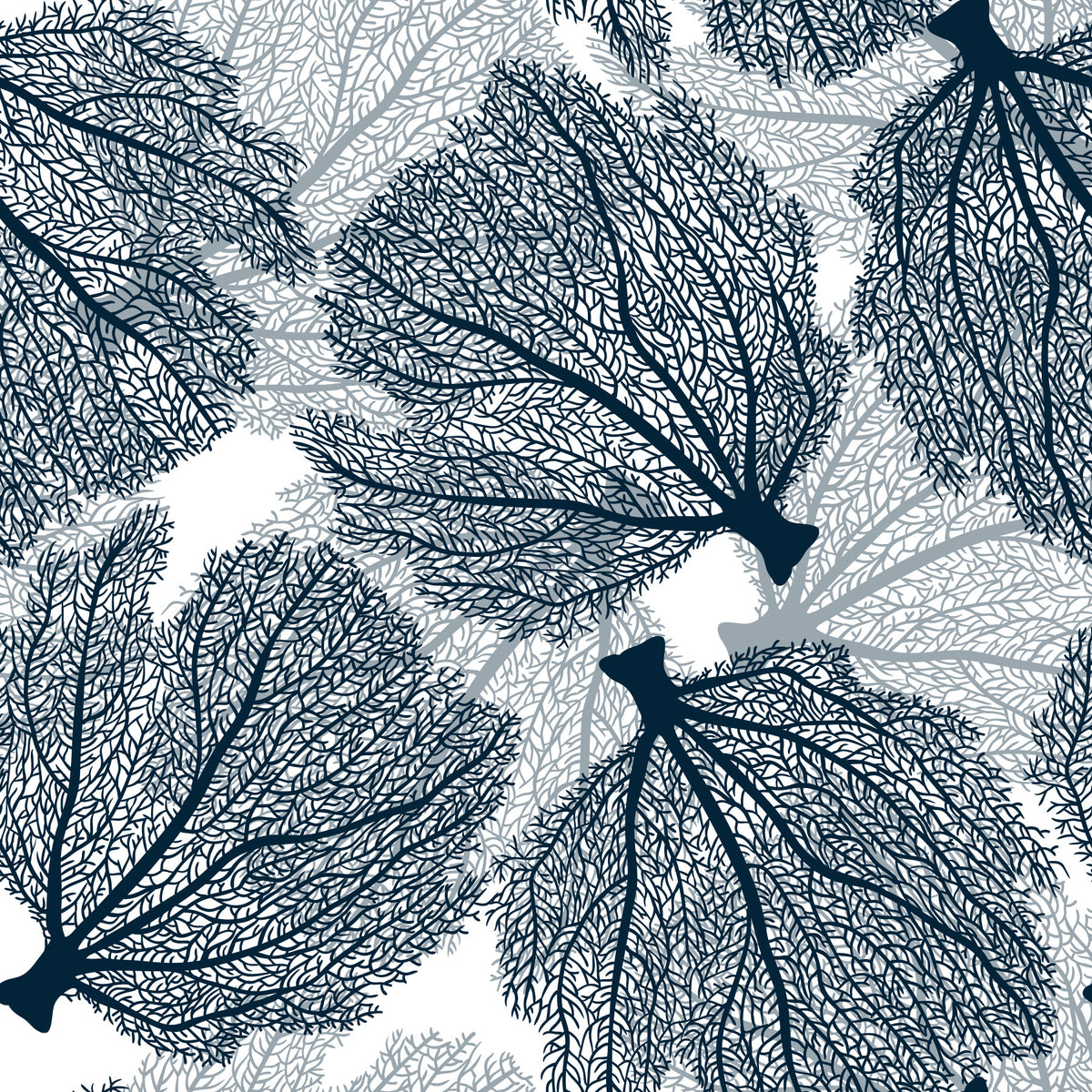 Fan coral in navy and white Wallpaper⁠