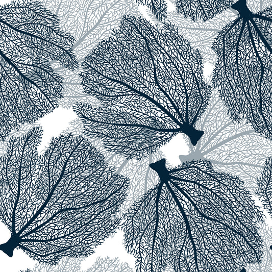 Fan coral in navy and white Wallpaper⁠