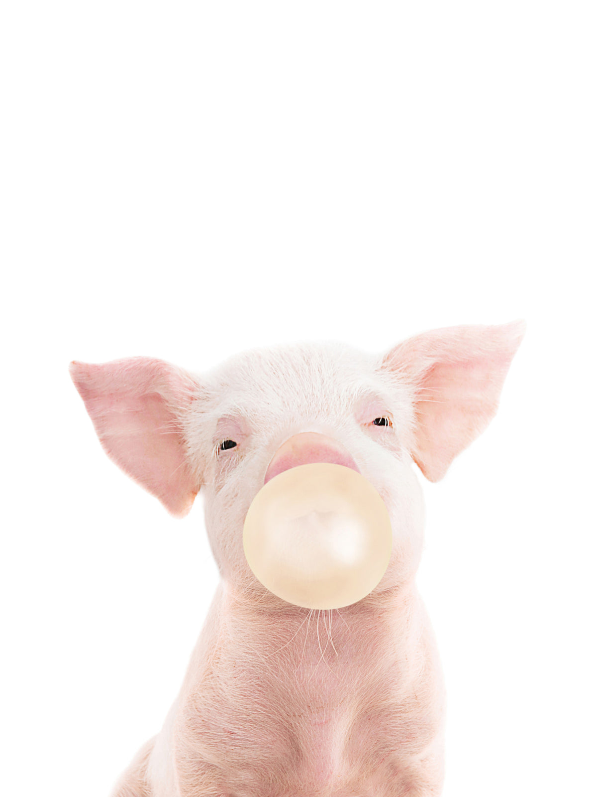 Bubble Gum Piglet Wall Mural in your room