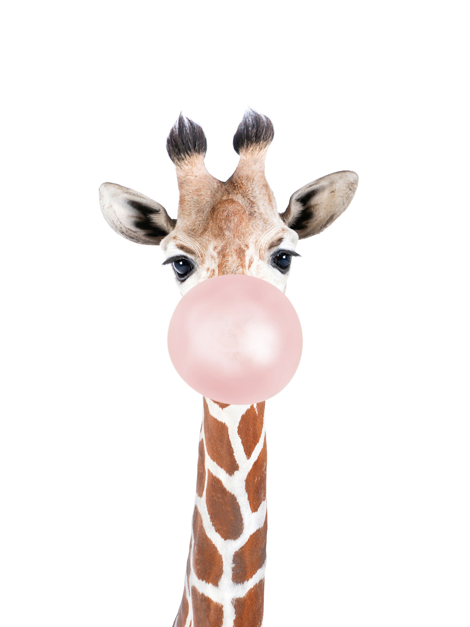Bubble Gum Giraffe Wall Mural