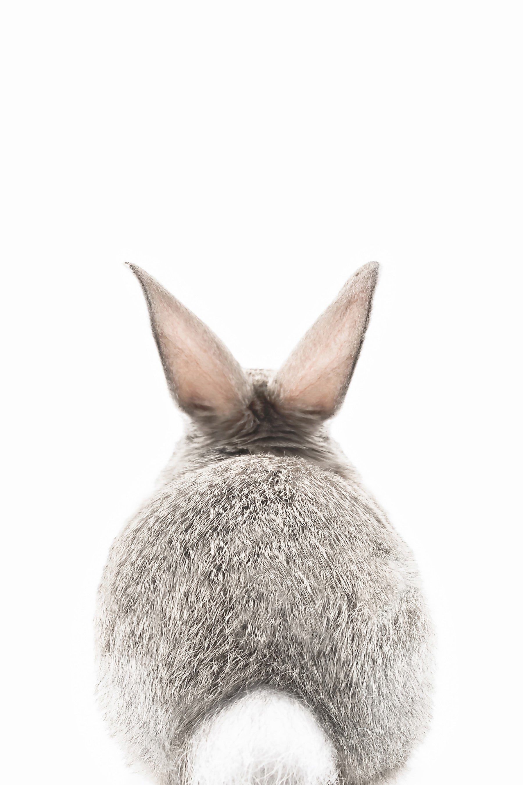 Bunny tail design mural in soft pastel tones for a dreamy room vibe.

