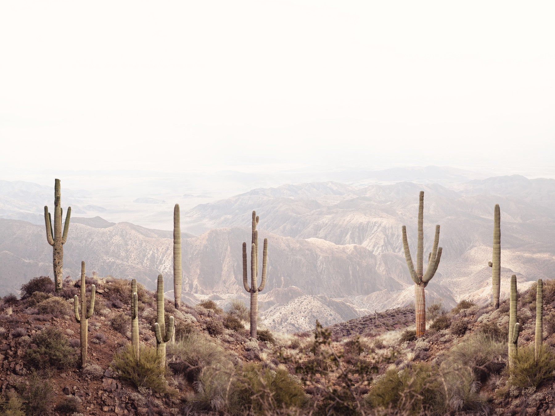 Desert Vista Serenity Wall Mural in your room — zoomed