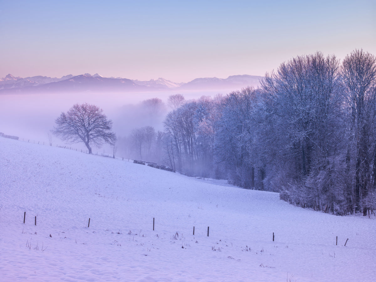 Winter Landscape Wall Mural in your room