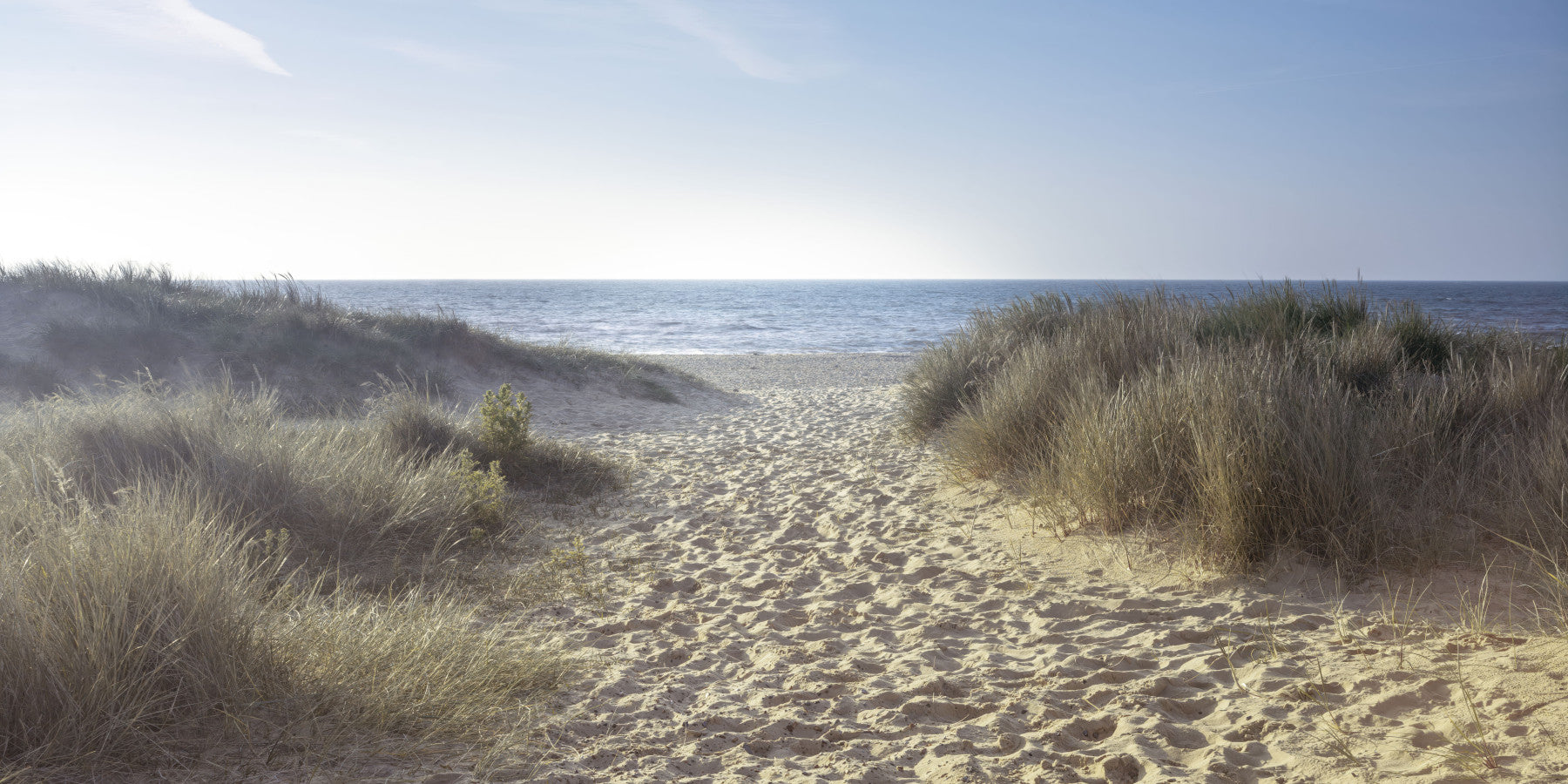 Coastal Path to Serenity Wall Mural