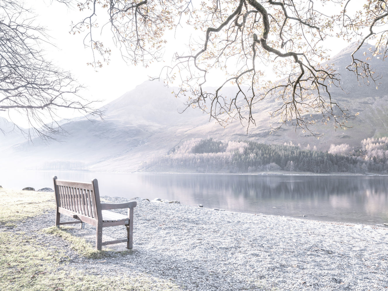 Bench by Still Lake Wall Mural