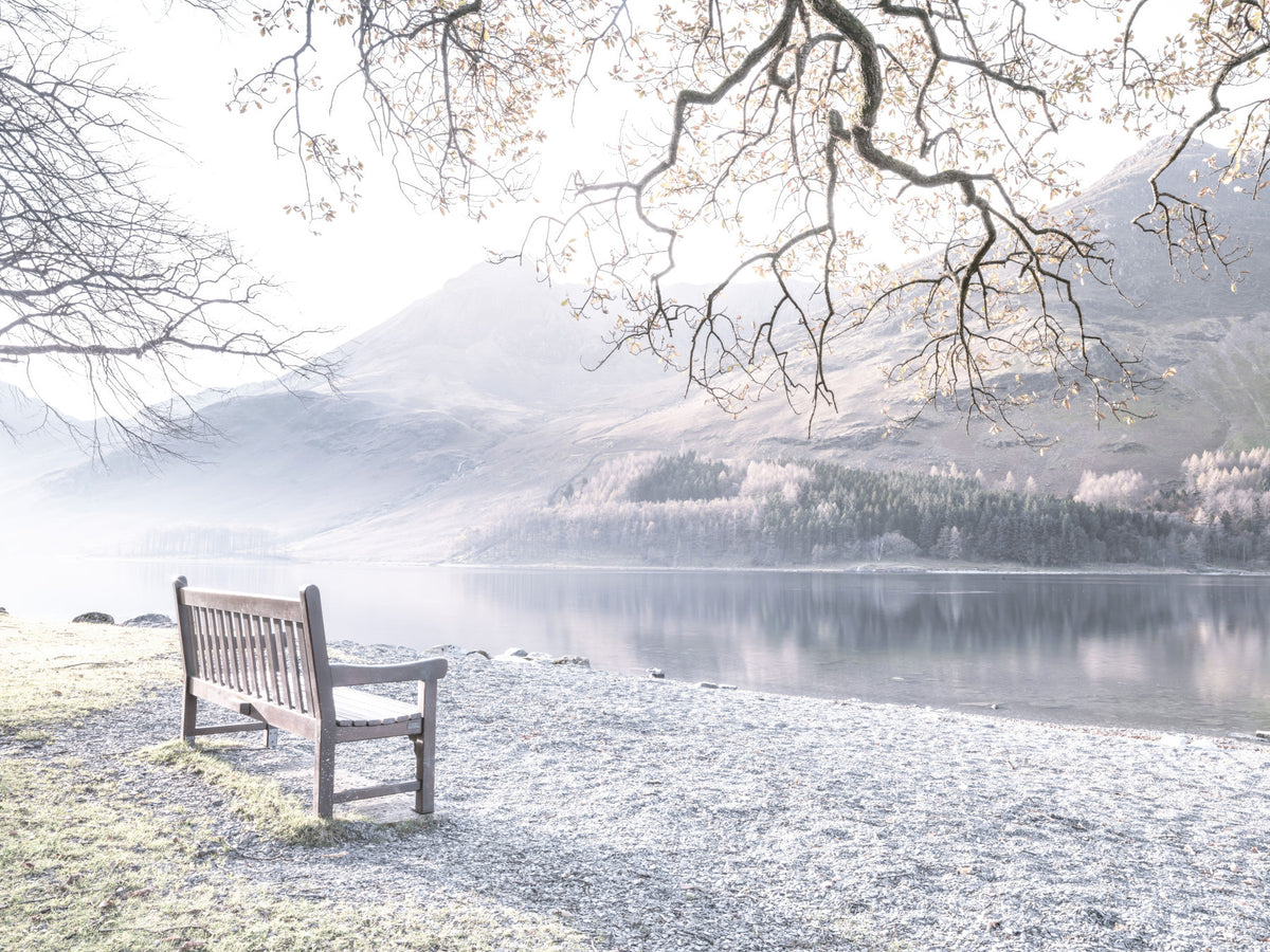 Bench by Still Lake Wall Mural in your room
