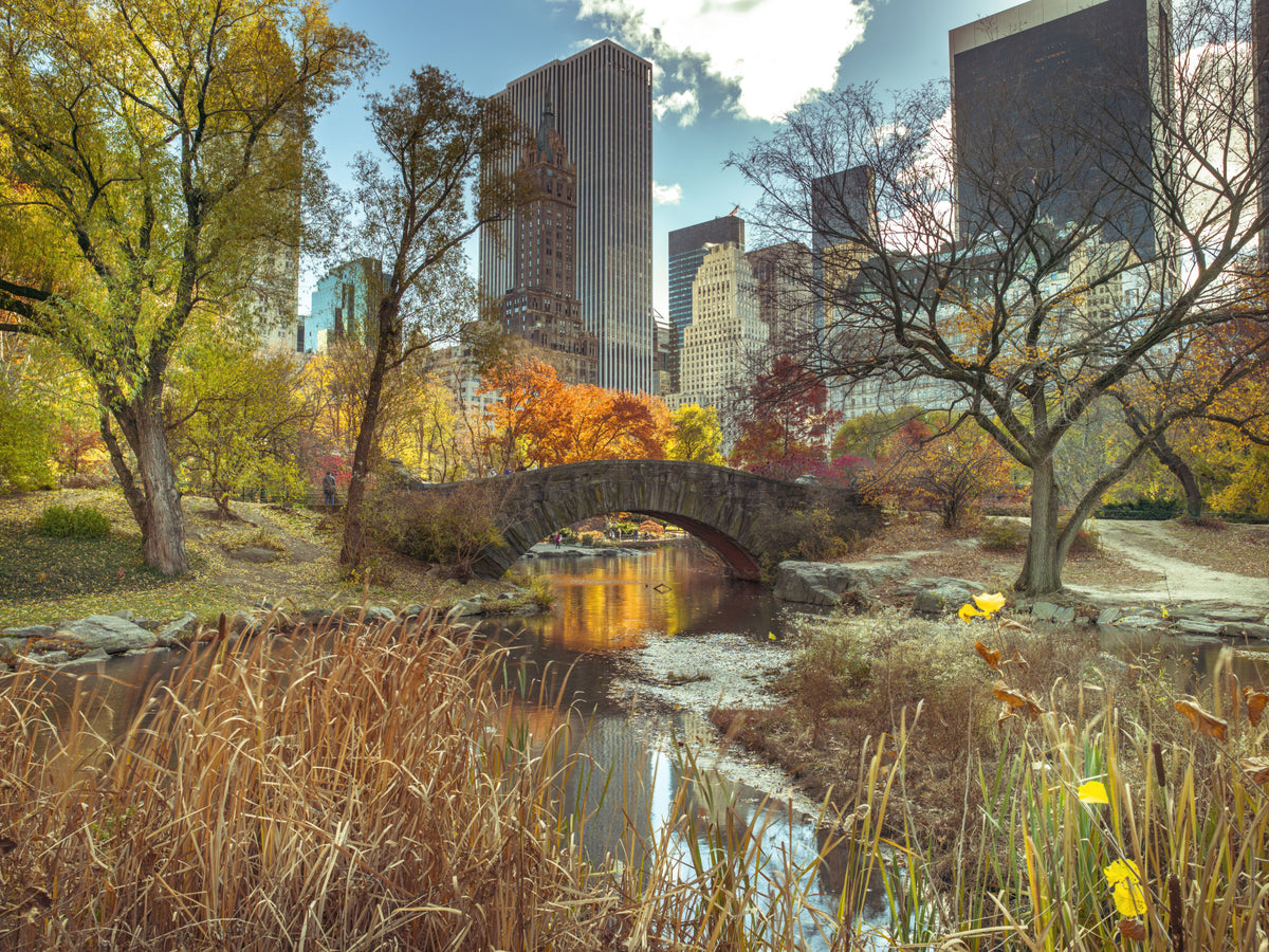 Manhattan's Autumn Embrace Wall Mural in your room
