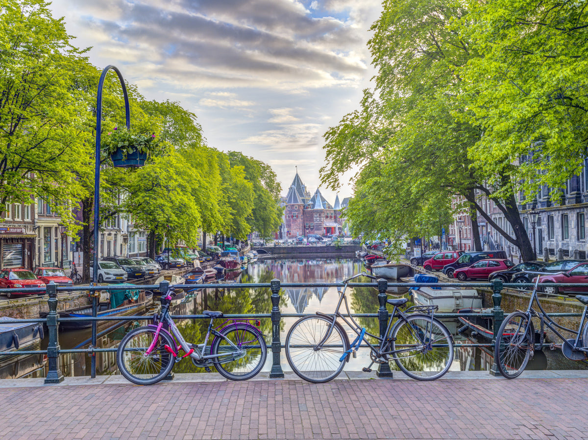 City of Bikes Wall Mural in your room — zoomed
